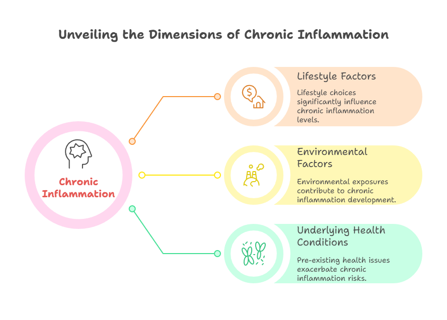 chronic inflammation the persistent problem
